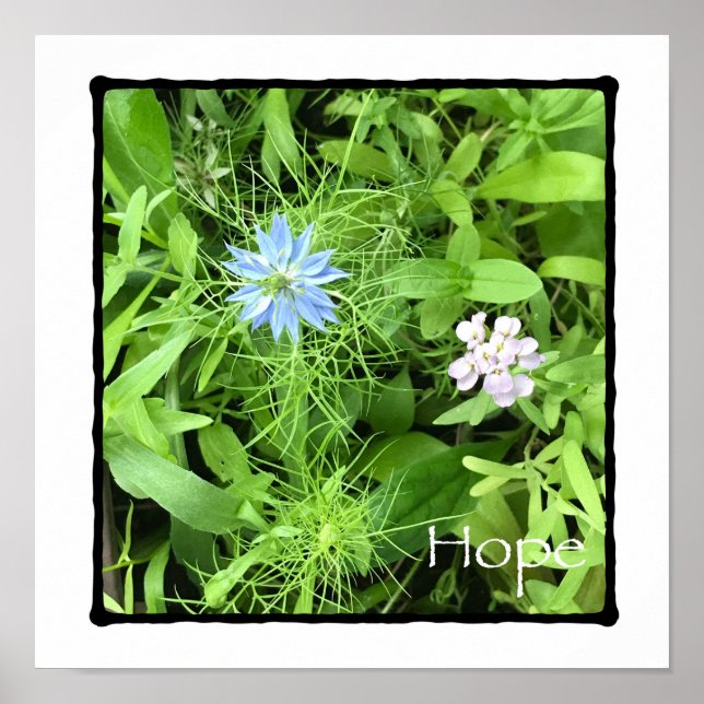 Poster Hope Square (Frente)