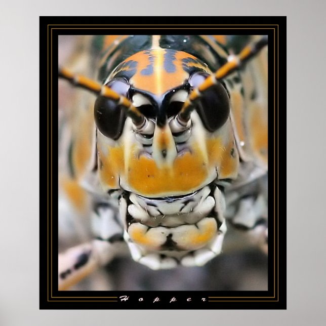 Poster Hopper (Frente)