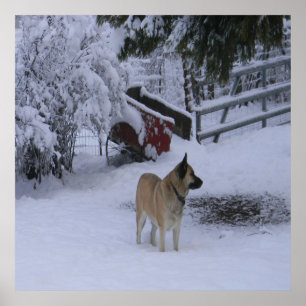 Poster Hora de inverno....
