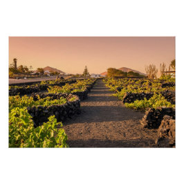 Póster Hora Dourada sobre os Vinhedos La Geria Lanzarote