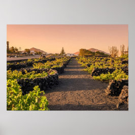 Poster Hora Dourada sobre os Vinhedos La Geria Lanzarote