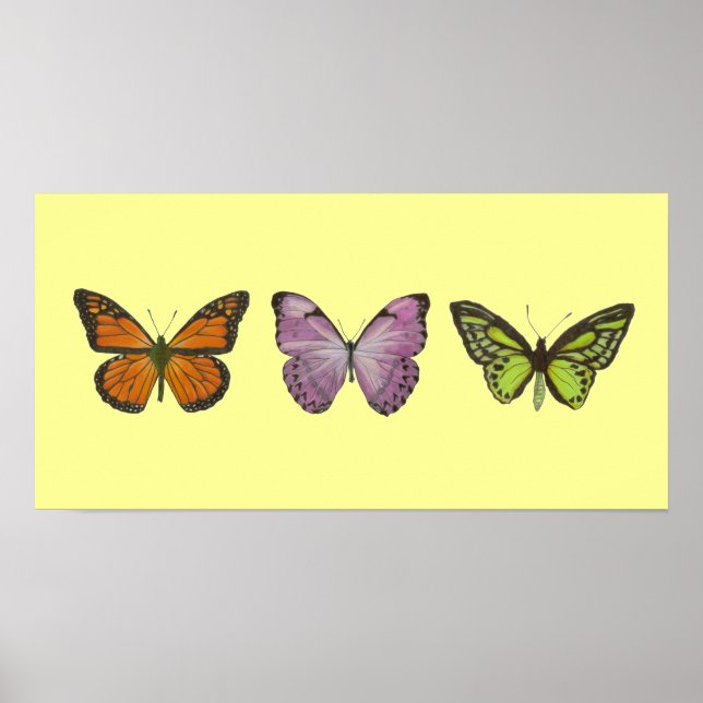 Poster Horizontal de Borboleta Tripla (Frente)