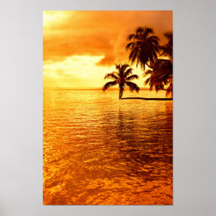 Poster horizontal do por do sol da palmeira