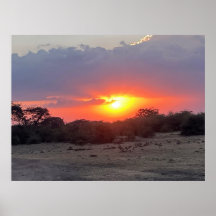 Horizonte Dourado – Pôr do Sol na Savana Africana