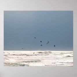 Poster Horizonte oceânico com cor castanho dos pelicanos