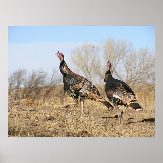 Póster Horizonte Turquia (Frente)