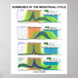 Poster Hormônios Da Menstruação Do Ciclo Menstrual