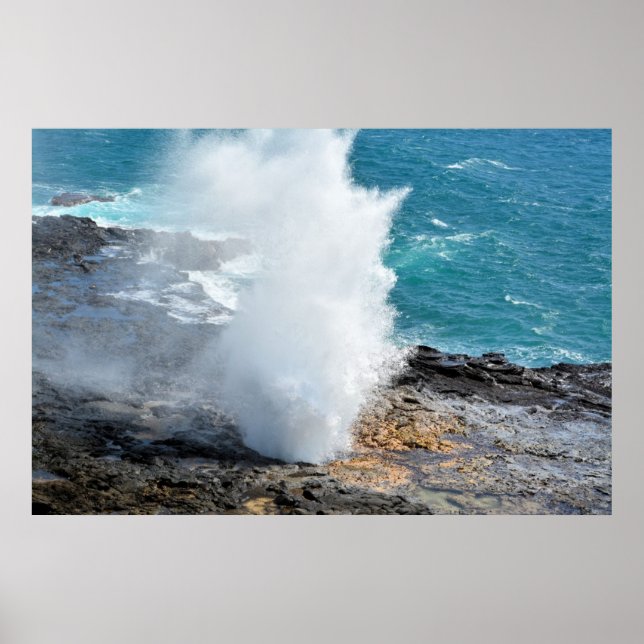 Poster Horno de pouso (Frente)