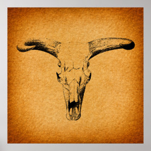 Poster Horns de Bull Ocidentais