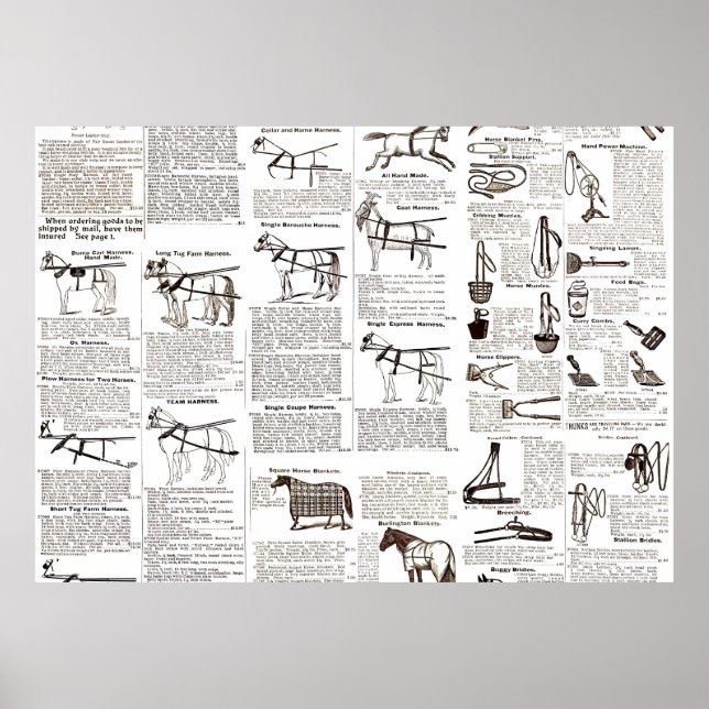 Poster Horse Antique Advertising Newpaper Art (Frente)