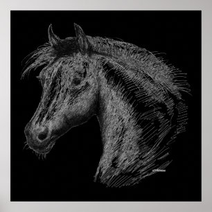 Póster Horse:  Black