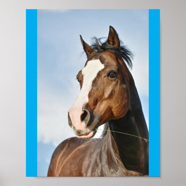 Poster horsie cute (Frente)