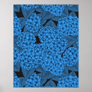 Poster Hortênsia azul
