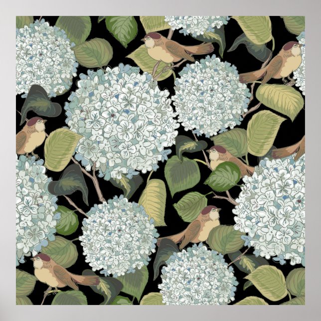 Poster Hortensia azul-clara, branca, com folhas verdes e (Frente)