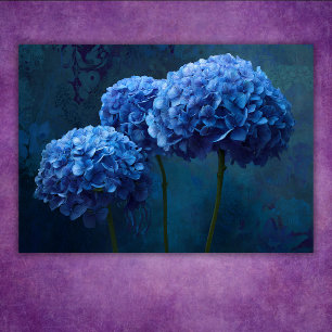 Poster Hortênsia Floral Botânica Azul Ousada Dramática