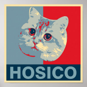 Poster Hosico - Ilustração Azul Vermelho