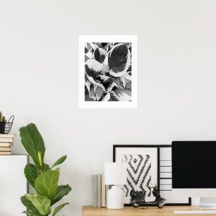 Poster Hosta Variegada Floral Preto e Branco