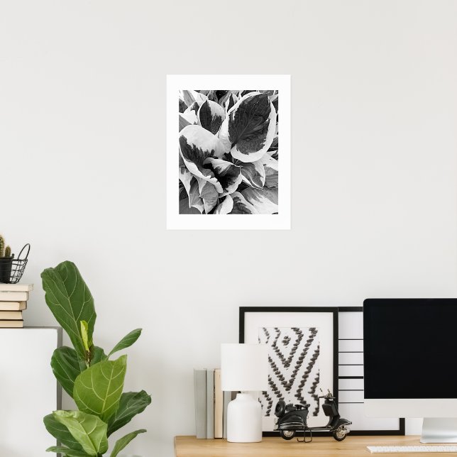 Poster Hosta Variegada Floral Preto e Branco (Escritório em casa)