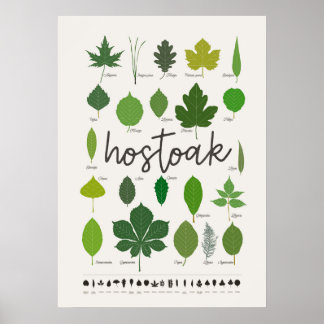 Poster Hostoak ・ Hojas