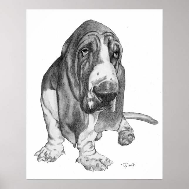 Poster Hound Basset (Frente)