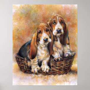 Poster Hounds Basset
