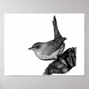 Póster House Wren