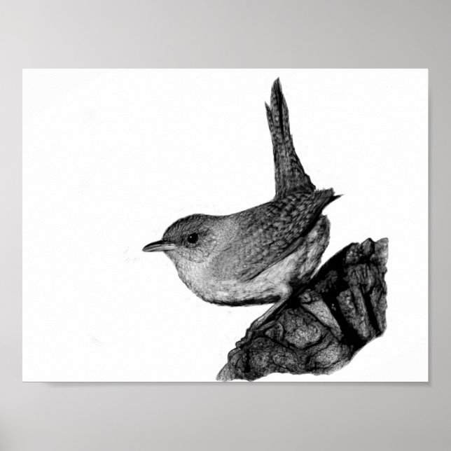 Póster House Wren (Frente)
