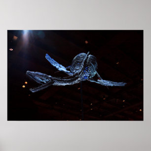 Poster Houston Museum of Natural Science