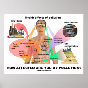 Póster How Affected Are You By Pollution? (Physiology)