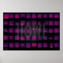 Howl: A Língua Secreta dos Lobos