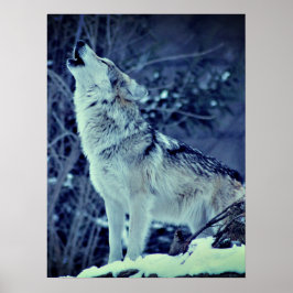 Poster Howling Wolf Winter Forest