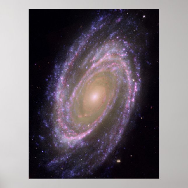Póster Hubble - Galex - Spitzer Imagem Composta da M81 (Frente)