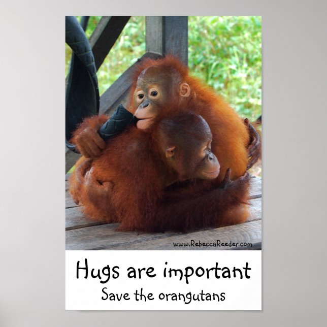 Póster Hugs Inspiracionais Importantes (Frente)