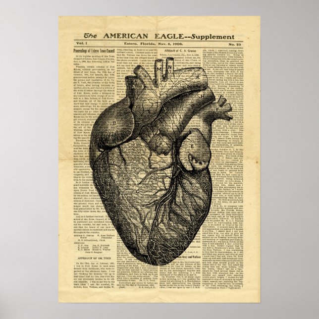 Poster Human Heart Anatomy no jornal (Frente)