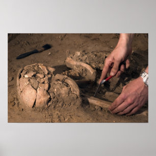 Poster Human remains