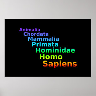 Poster humano da taxonomia