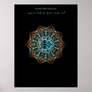 Poster humano do ADN