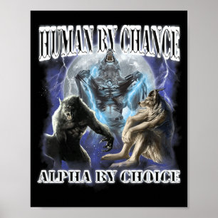 Poster Humano Por Acaso Alfa Por Escolha Legal Divertido