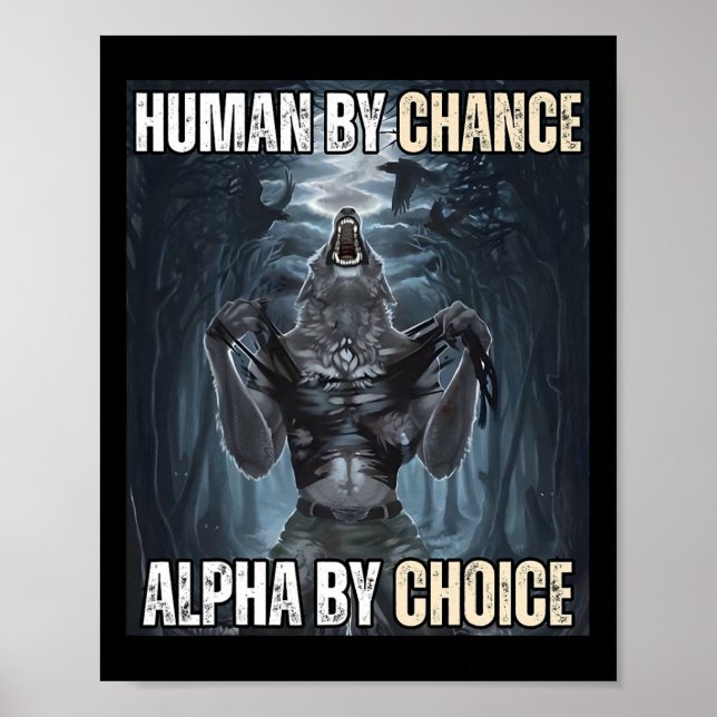 Poster Humano Por Chance Alpha Por Escolha Legal Engraçad (Frente)
