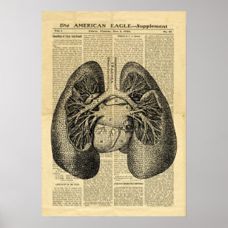Poster Humano Pulmões Anatomia Antiquada no jornal