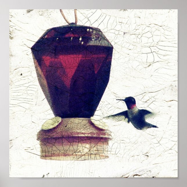 Póster Hummingbird (Frente)