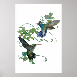 Póster Hummingbird