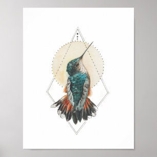 Poster Hummingbird