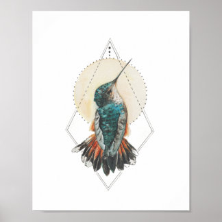 Poster Hummingbird