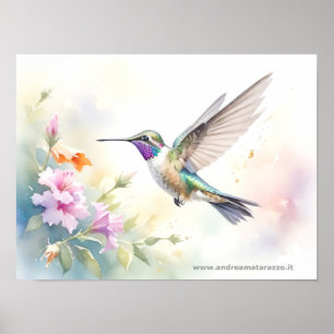 Poster Hummingbird