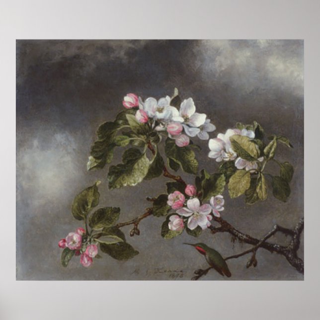 Poster Hummingbird e Apple Blossoms Martin J. Heade (Frente)