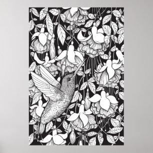 Poster Hummingbird e fuchsia