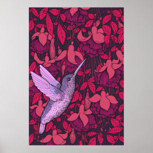 Poster Hummingbird e fuchsia violet