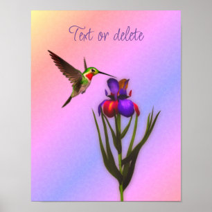 Poster Hummingbird E Iris Flor Personalizado
