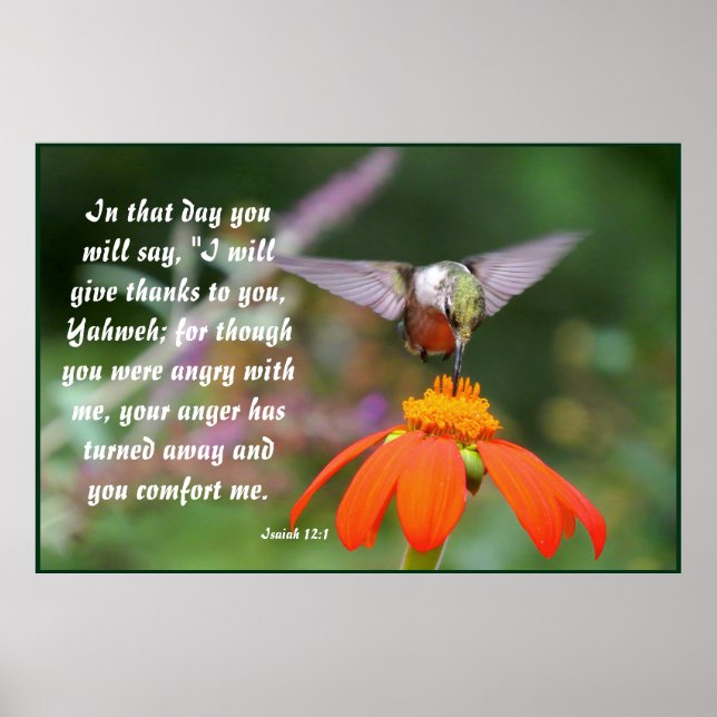 Póster Hummingbird Flor Floral Isaiah 12:2 (Frente)